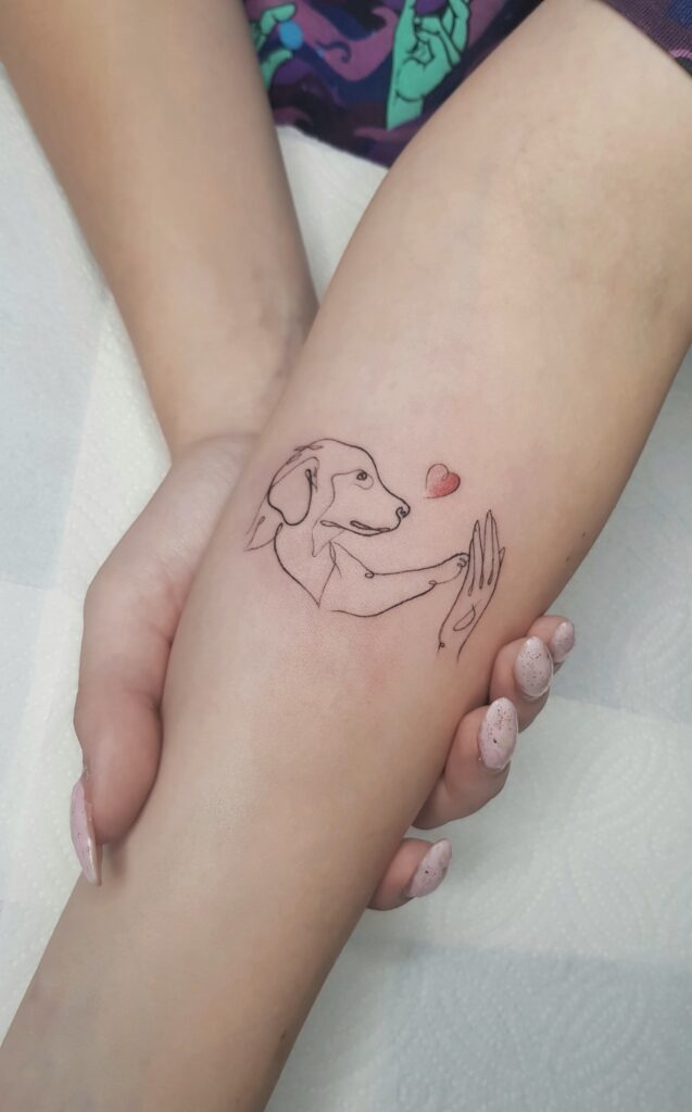 Paw to Hand, Heart to Heart